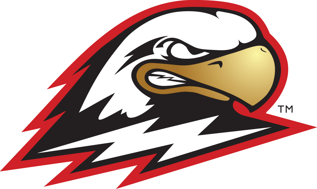 Southern Utah Thunderbirds 2002-Pres Secondary Logo diy DTF decal sticker